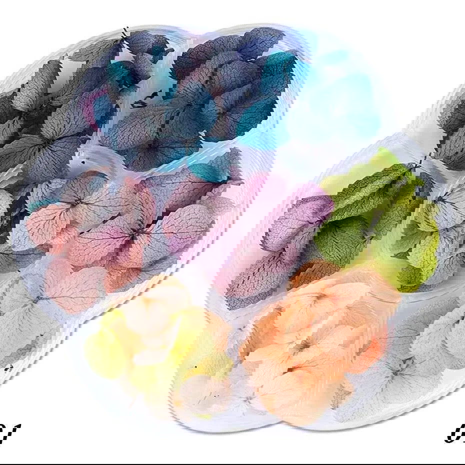 3D Dried Flowers - LB BEAUTY 