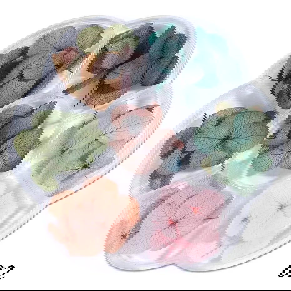 3D Dried Flowers - LB BEAUTY 