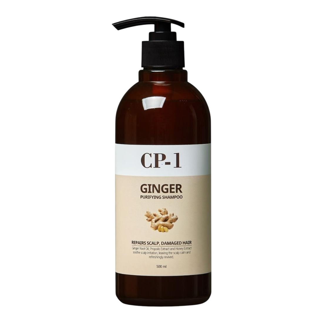 CP-1 Ginger Purifying SHAMPOO 500ml available in iceland at lbbeauty kurenada