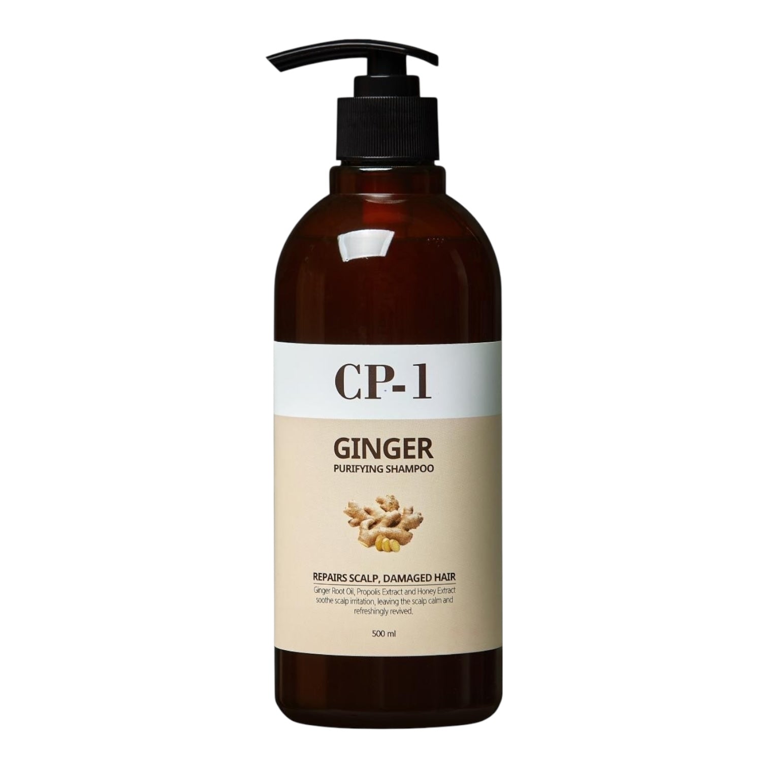 CP-1 Ginger Purifying SHAMPOO 500ml available in iceland at lbbeauty kurenada