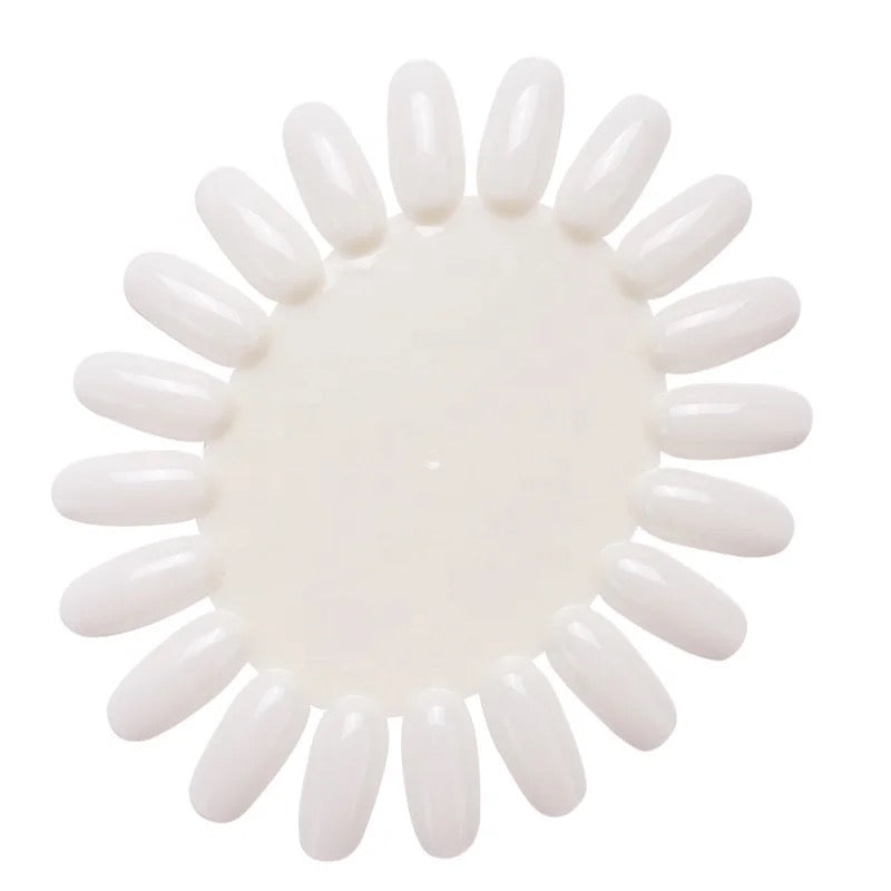 Color Display Oval Shape 1pc - LB BEAUTY 