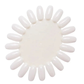 Color Display Oval Shape 1pc - LB BEAUTY 