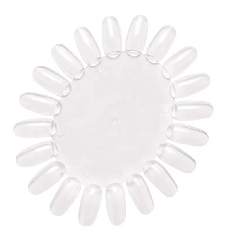 Color Display Oval Shape 1pc - LB BEAUTY 