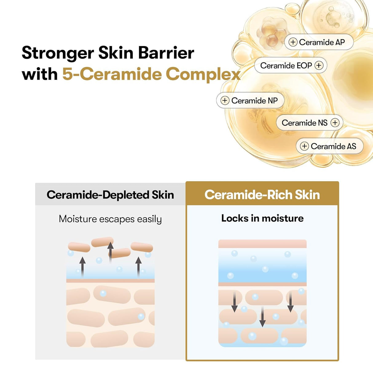 VT Rice Ceramide Capsule Cream 50ml