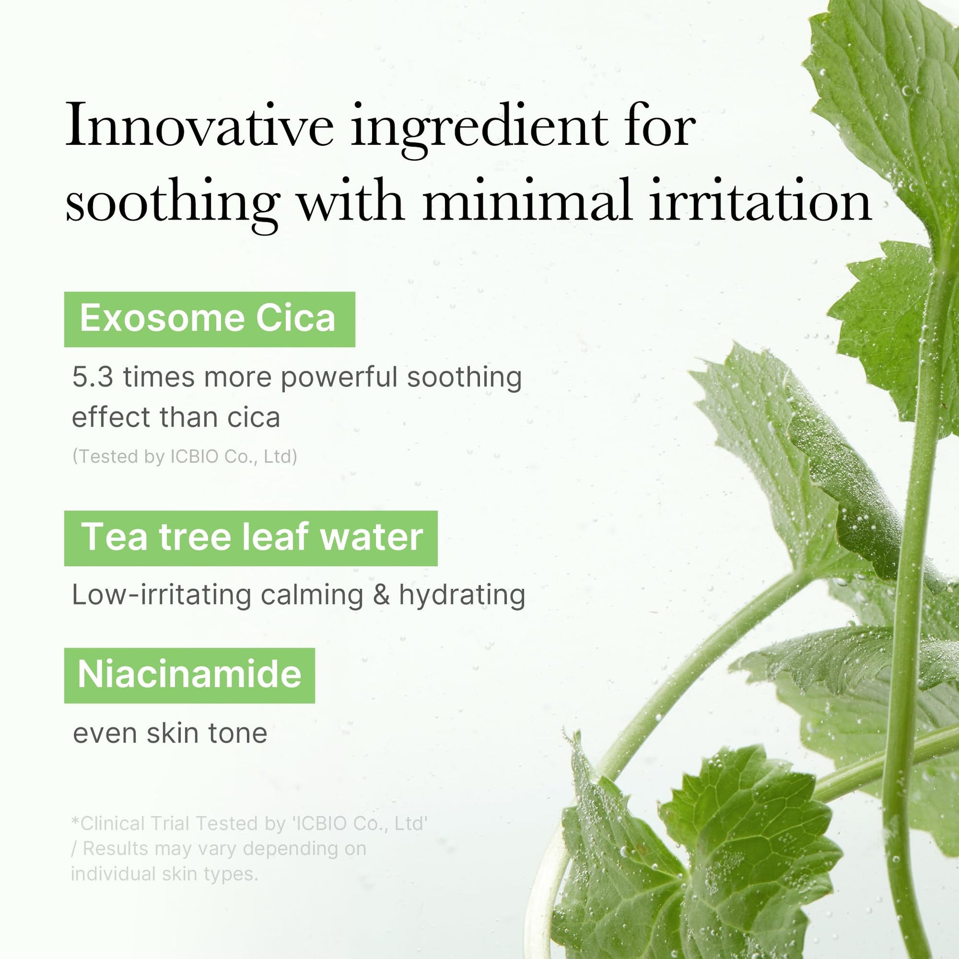 Advertisement for Exosome Cica, Tea tree leaf water, and Niacinamide with a green plant background.