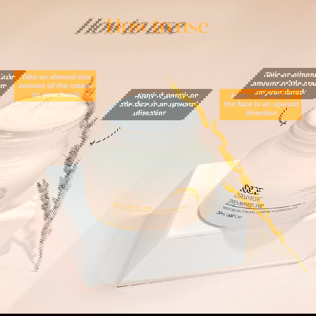 The Face Shop Rice&Ceramide Moisturizing Cream 50ml - LB BEAUTY 